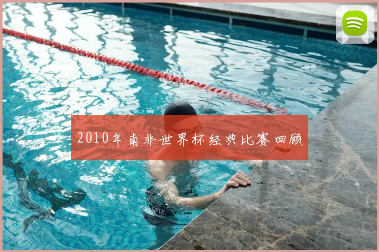 2010年南非世界杯经典比赛回顾