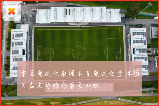 中国奥运代表团东京奥运会金牌项目盘点与精彩看点回顾